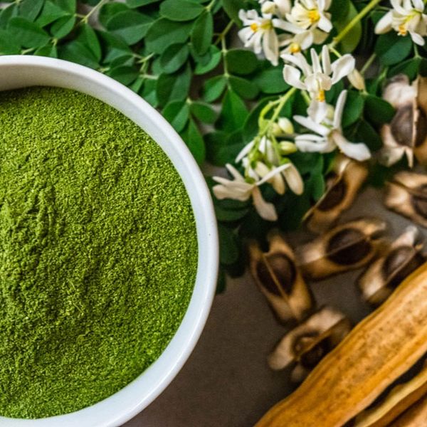 Moringa from Senegal supplied by Adansownia - Dried Moringa