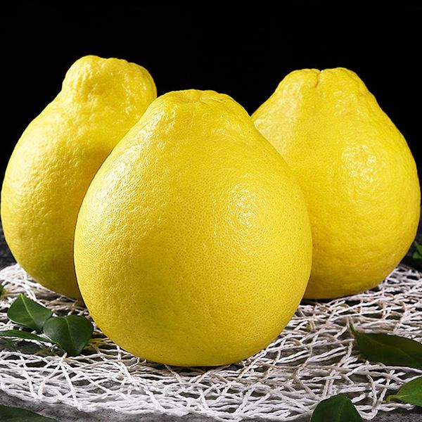 The best pre-sale price for high-quality fresh yellow-skinned grapefruits exported worldwide, direct sales from orchards in Rong County, Guangxi, China, harvest time November from China supplied by Guangzhou Wohai Technology Co., Ltd. - Shaddock Pomelo Fresh Pomelo