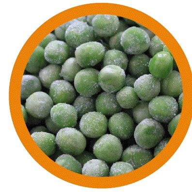 Frozen IQF Green Peas from 이집트 supplied by Pure Valley for Export - 상급 품질 냉동 일반콩