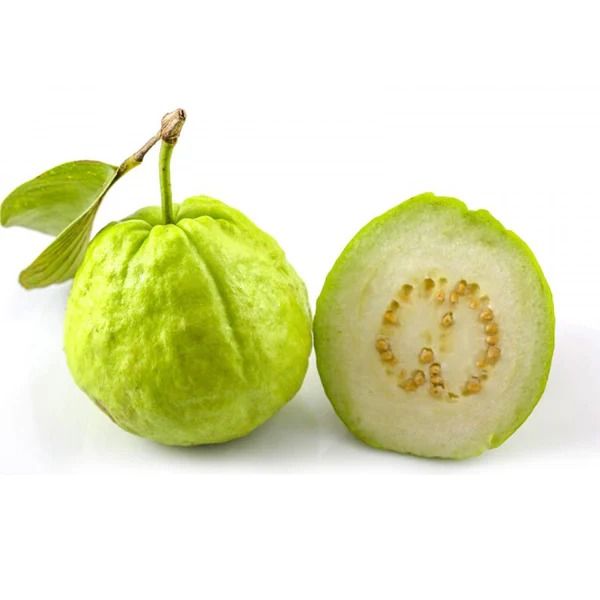 Guava from 인도 supplied by Liberty Exports - Individually Wrapped (=IW) 신선 구아바