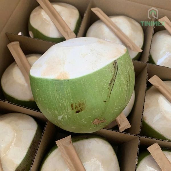 Green Husk Coconut from 베트남 supplied by Tinimex Co LTD - Sweet Young Coconut 기타 신선 코코넛