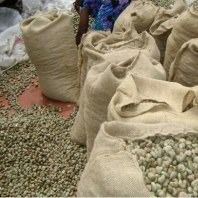 Cashew from 베냉 supplied by Cajou global business - Benin 캐슈너트 알맹이