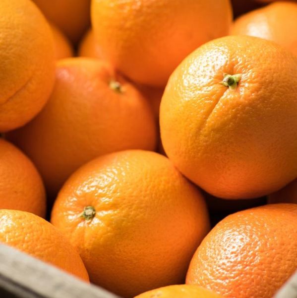 Orange from India supplied by Liberty Exports - Bright Orange Fresh Orange