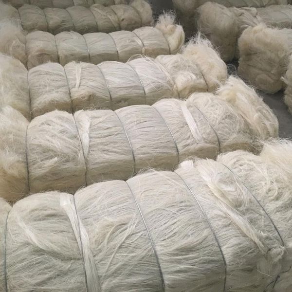 Sisal Fibre from 탄자니아 supplied by HARVESTPLUS HOLDINGS - Fair Quality 아가베 잎