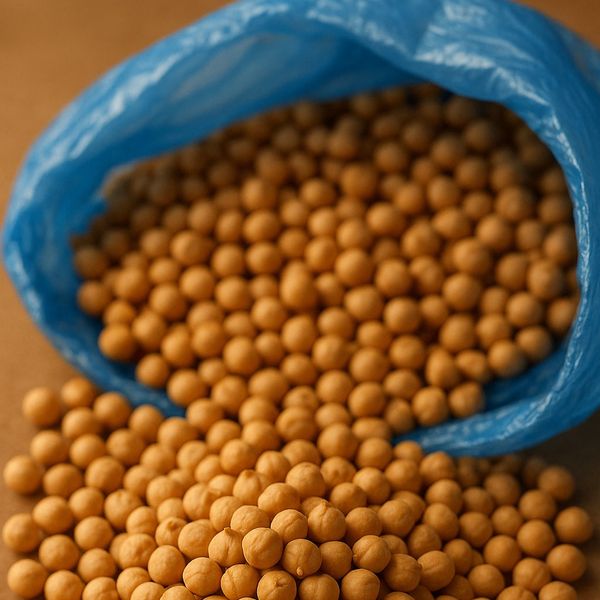 Chickpeas from 러시아 supplied by QUELLE TRADE, import export d.o.o - 최대 12% 말린 병아리콩