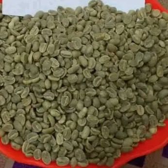 ARABICA GREEN COFFEE BEANS from Papua New Guinea supplied by BRAT RESOURCES PTE LTD - Dried Raw Common Coffee Bean