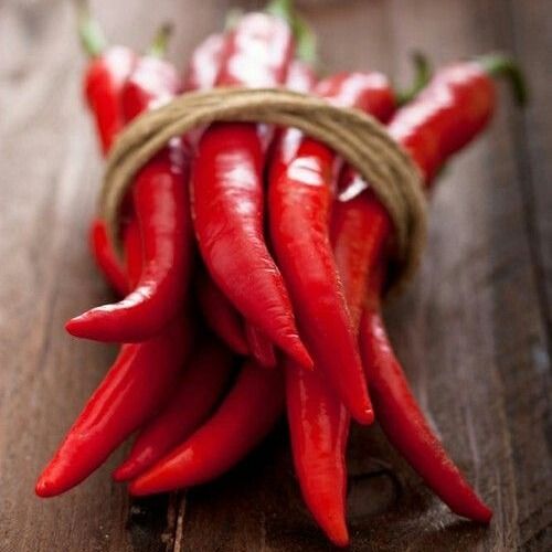 Chili Pepper from 케냐 supplied by AAA Corporation Ltd - 피리피리(=African Bird's Eye Pepper=Demon) 신선 고추