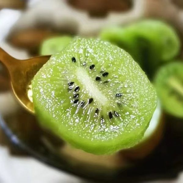 Kiwi from China supplied by 湖南都乐农业有限公司 - 60-80 fruits Fresh Kiwifruit