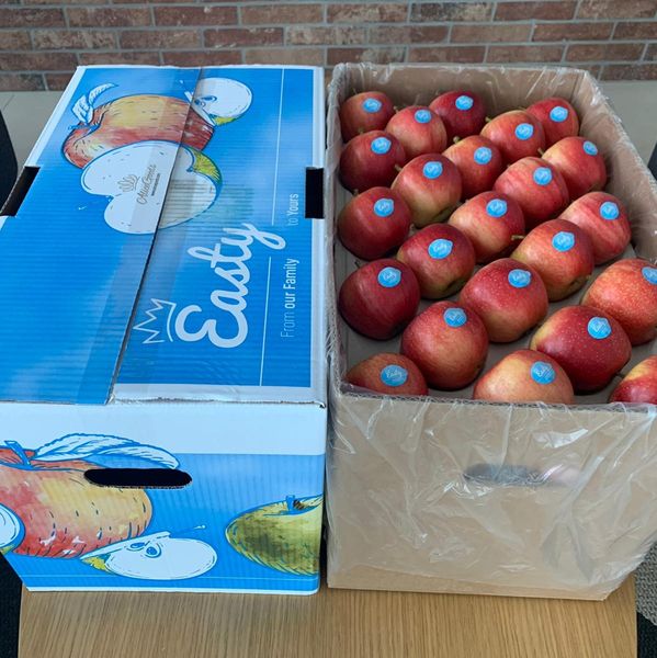 Apples from 폴란드 supplied by AliceGoods - 신선 블루베리