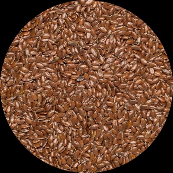 Organic Flaxseed from 우크라이나 supplied by Origin & Amsterdam - Mesh Bags (25kg) (=Net) 아마 씨