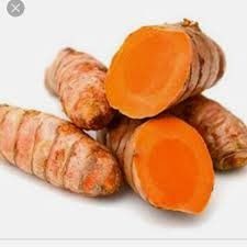 Fresh Turmeric from Indonesia supplied by INDOTRADING MULTI JAYA, PT - Turmeric Chura Turmeric