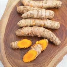 Fresh Turmeric from Indonesia supplied by Segarnya Alam Nusantara - Single Polished Turmeric
