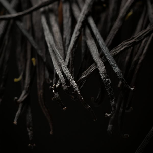 Vanilla Beans / Vanilla Pods · Indonesia from 인도네시아 supplied by PT Gema Agratama Nusantara - Long 바닐라