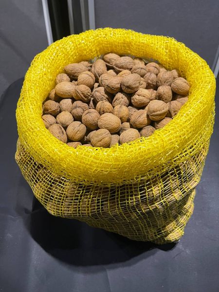 Walnut kernels from 우크라이나 supplied by VDK - 세척 생호두