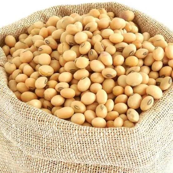 Non-Gmo Soybean from 나이지리아 supplied by Promakar Flour Mills Nigeria Limited - 표준 대두