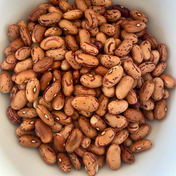 Sugar Beans from South Africa supplied by Favour Flair Trading and Projects Pty Ltd - Raw Sweet Red Beans