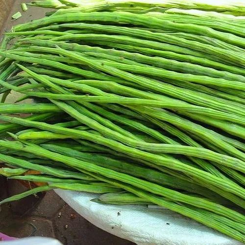 Drumsticks from 인도 supplied by Liberty Exports - Excellent Quality Other Fresh Vegetables