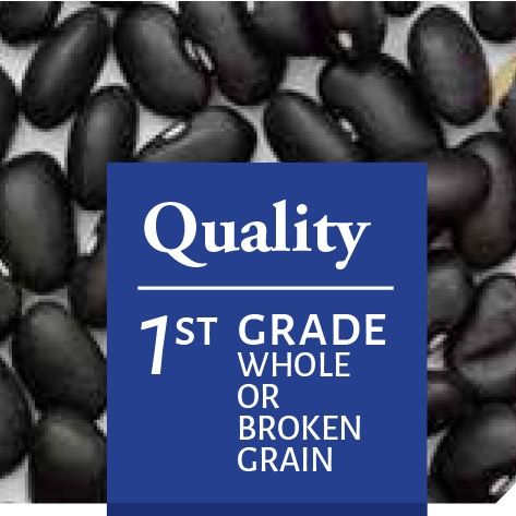 Black Kidney Beans from 아르헨티나 supplied by QUELLE TRADE, import export d.o.o - 고품질 말린 강낭콩