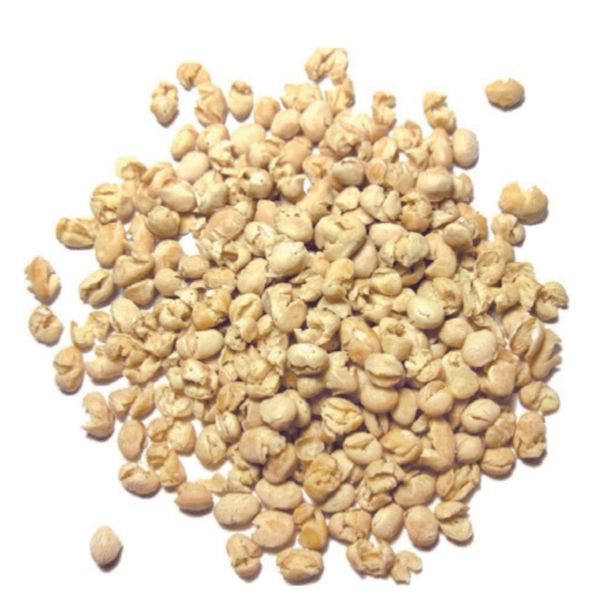 NAVY BEANS from 이탈리아 supplied by Legumina SRL - Cake Flour 기타 분말상품