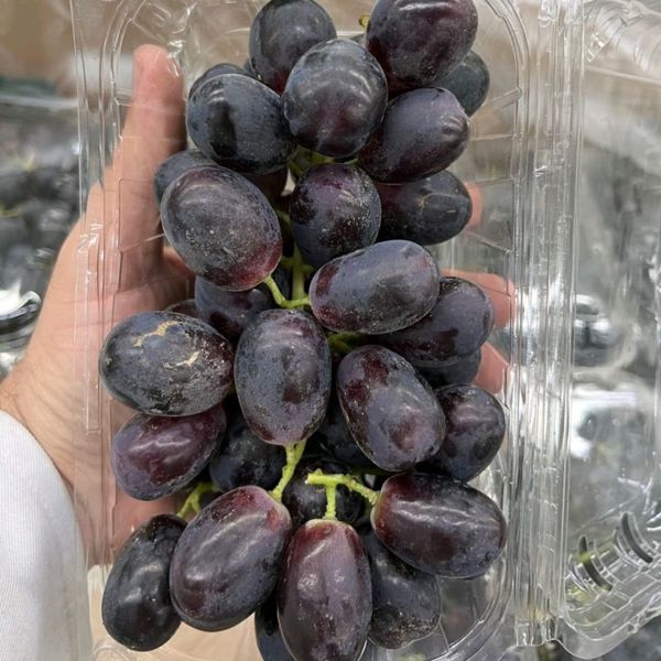 Fresh Grapes Variety : Flame , Crimson , Red Globe from Egypt supplied by Cix For Export - Fresh (=Chilled) Fresh Grapefruit