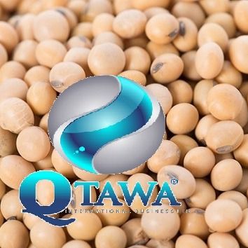 soybean from 브라질 supplied by QTAWA INTERNATIONAL BUSINESS LIMITED - Bulk 대두