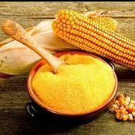 Corn Gluten Flour (CGM) from 스웨덴 supplied by Naturell AB - Protein: 60% 옥수수글루텐박