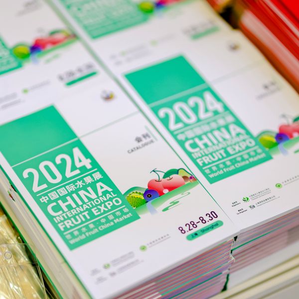 CHINA FRUIT from China supplied by China International Fruit Expo - Other Fresh Fruits