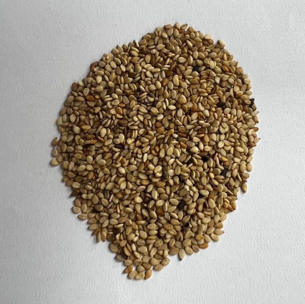 Hybrid Natural Sesame Seeds from 파키스탄 supplied by Agrosecure - Unhulled 참깨