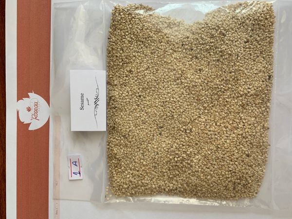 Sesame seed from 에티오피아 supplied by Roseau trading company - 생 참깨