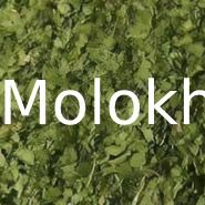 Molokhia from Egypt supplied by Osiris Herbs Co. - High Quality Molokhia
