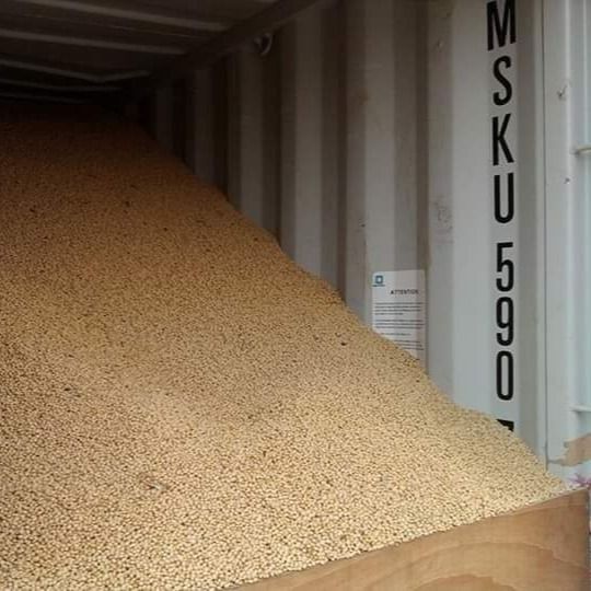 soy from 토고 supplied by CAP - 기타 콩류
