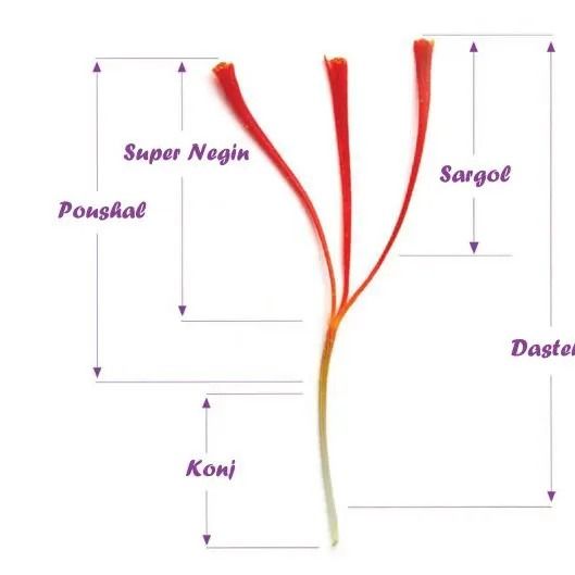 saffron from Iran supplied by Sarij saffron - Extra Super Negin Saffron