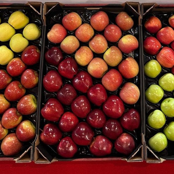 Fresh Apple from Moldova from 몰도바 supplied by DANU LIMITED SRL - Mixed 신선 사과
