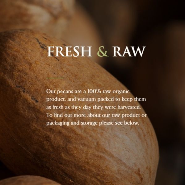 Organic Pecan Nuts from South Africa supplied by Roux Pecans - Fresh Pecan Nut