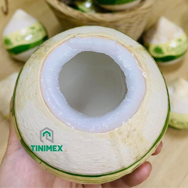 Polished Young Coconut from 베트남 supplied by Tinimex Co LTD - Sweet Young Coconut 기타 신선 코코넛
