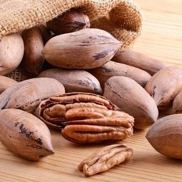 Pecan Nuts from 멕시코 supplied by Pecan Export - 신선 피칸