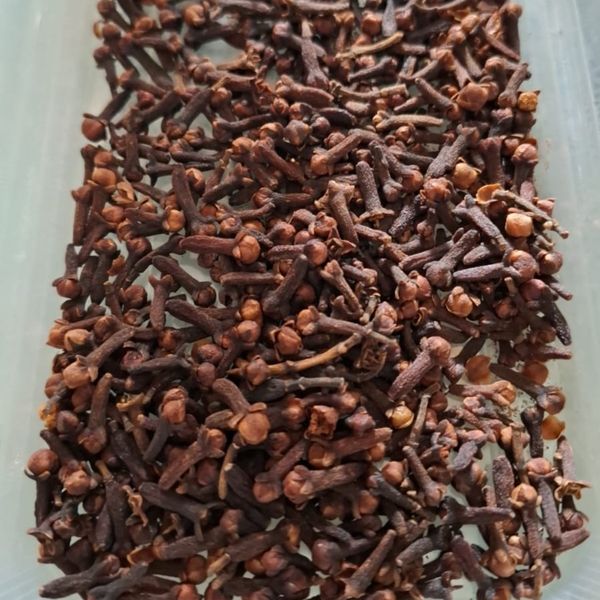 Clove from Indonesia supplied by Revi Mitra Makmur Ltd - <12% Whole Clove