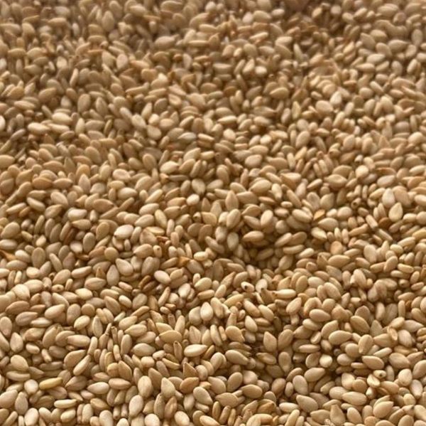 Sesame seeds from 인도 supplied by Box11 Tradelink LLP - 이물질: 0.5% 참깨
