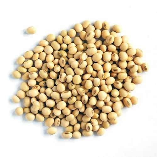 Quality Soybeans from 브라질 supplied by Bruckmann GmbH - 햇볕 건조 대두