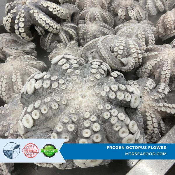 FROZEN OCTOPUS FLOWER VULGARIS from Indonesia supplied by PT Mitra Timur Rayatama - Flower Shaped Frozen Octopus