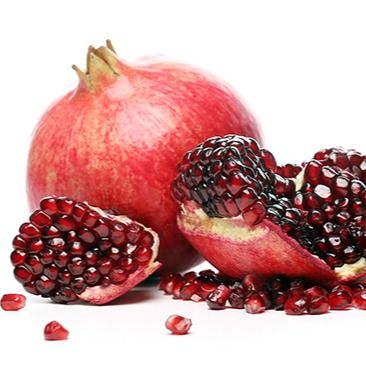 Field Ready Pomegranate Tree from 남아프리카공화국 supplied by Du Roi - Non-GMO 신선 석류