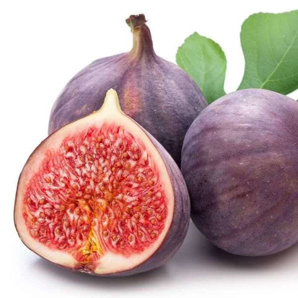 Fig fruit from Egypt supplied by Gamal Farms - Big Fresh Fig