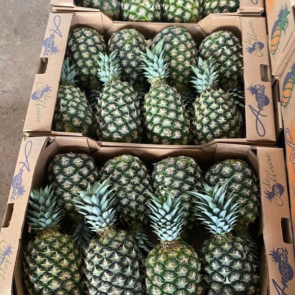 Sweet Pineapple from 코트디부아르 supplied by Kodra-Export - 크기: 6-7 신선 파인애플