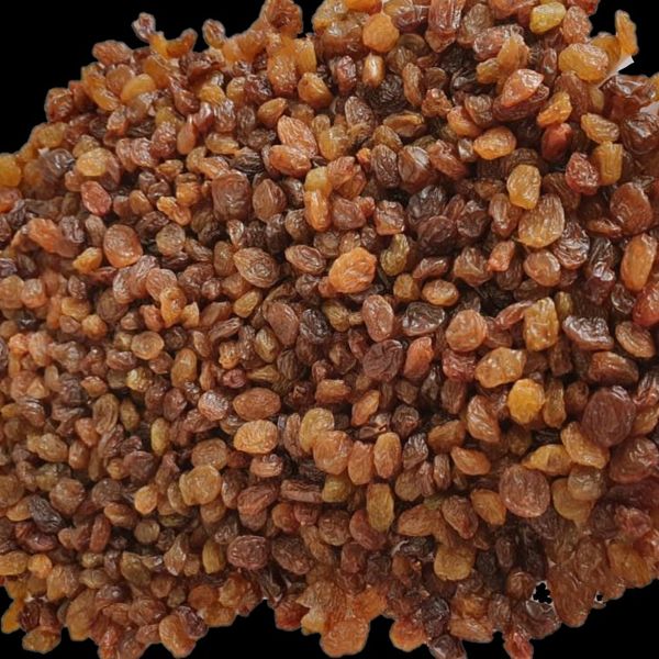 Sultana Raisin from Iran supplied by Nature Bite Foods - Raisin (Dried Grape)
