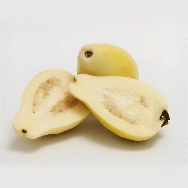 Premium Egyptian Guavas from Egypt supplied by PEI Trade - Green & White Fresh Guava