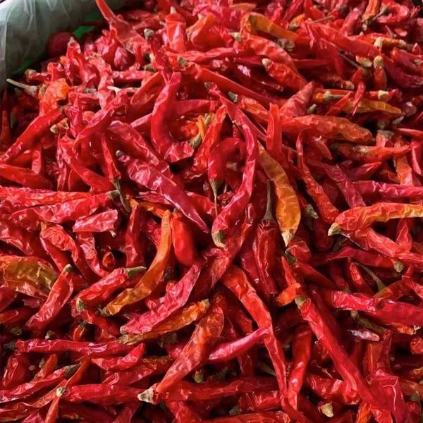 Dried Pepper from Ghana supplied by Direkt Zweck - Dried Whole Chili Pepper