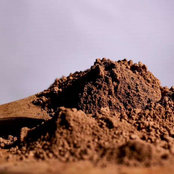 Cocoa Powder from 카메룬 supplied by DELTA BUSINESS GROUP LLC - Powder 코코아 파우더