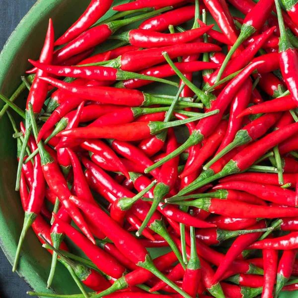 Chili (Hot Pepper) - Angreen (bird’s eye, long hot, jalapeño, etc.) from Vietnam supplied by ANGREEN CORPORATION (Angreen Joint Stock Company) - Bird Eye Fresh Chili Pepper