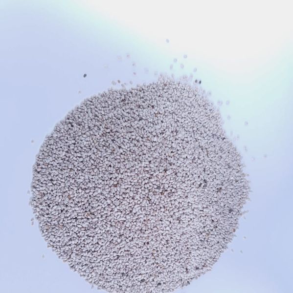 Chia from 파라과이 supplied by International Market - 치아 씨