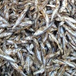 Dried Fishes from 가나 supplied by PRIBOFO ENTERPRISE - 1000-1500g 신선 농어